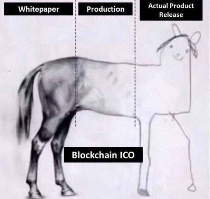 ICO للحصان