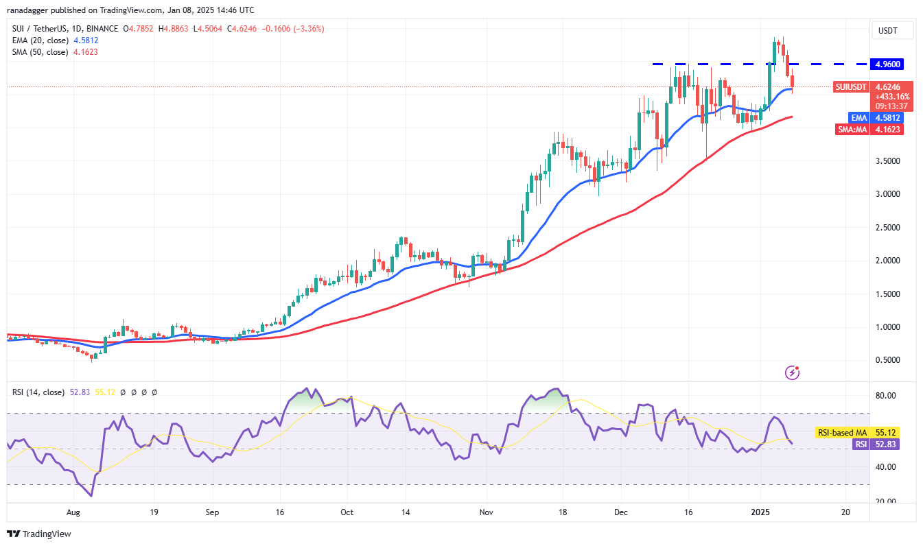 دوجكوين، العملات المشفرة، سعر بيتكوين، بيتميكس، ريبل، الأسواق، بورصة العملات المشفرة، آرثر هايز، دونالد ترامب، كاردانو، تحليل الأسعار، باينانس كوين، تشين لينك، تحليل السوق، سعر الأثير، سولانا، أفالانش، بيتكوين إتف، إتف، سوي