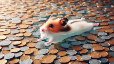 Hamster Kombat تصدر ورقة بيضاء، وتخصص 60% من Airdrop القادم للتوزيع المجتمعي