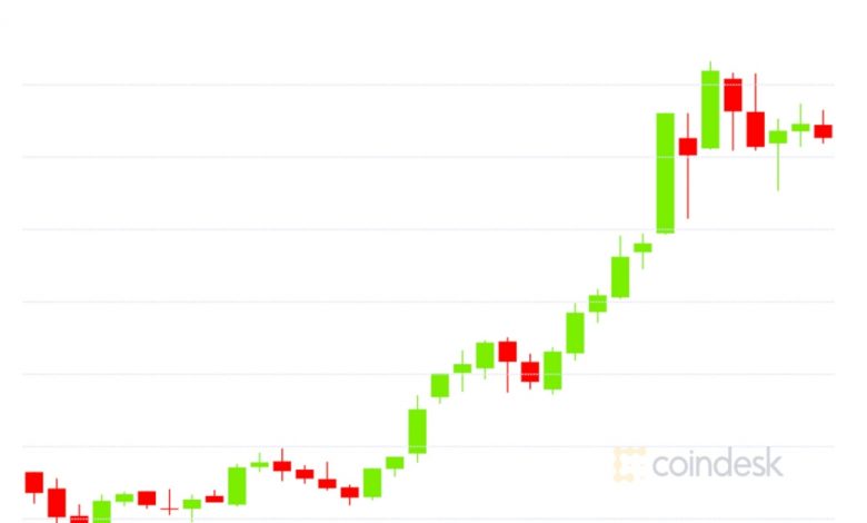 التفاف السوق: كسر البيتكوين 17.8 ألف دولار ، متفوقًا على إيثر في نوفمبر حتى الآن