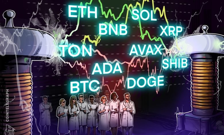 BTC، ETH، BNB، SOL، XRP، DOGE، TON، ADA، SHIB، AVAX