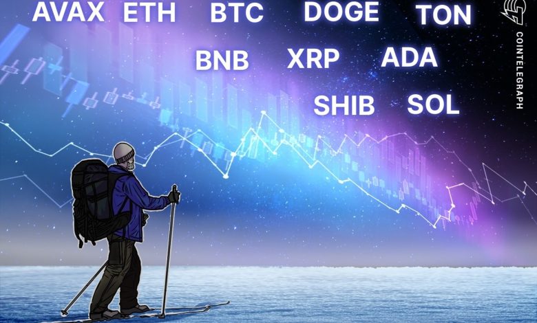 BTC، ETH، BNB، SOL، XRP، DOGE، TON، ADA، AVAX، SHIB