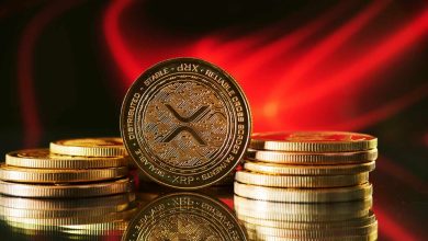 تعمل شركة Ripple مع 10 حكومات على مستوى العالم، حسبما يكشف الرئيس التنفيذي في مقابلة مُعاد اكتشافها