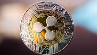 الرئيس التنفيذي لشركة Ripple يشيد بحكم المحكمة الأخير بأنه "فوز كبير" - ويصف دعواه القضائية بمحاولة القزم التي لا أساس لها