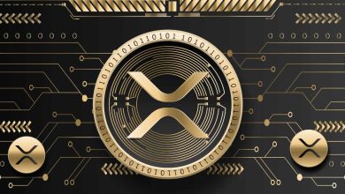 توضح Ripple أن XRP ليس ضمانًا بعد حكم المحكمة الجديد