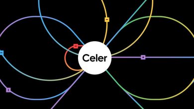 شبكة Celer تحبط محاولة الاستيلاء على النطاق