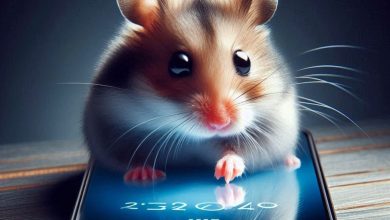 الرئيس التنفيذي لشركة Telegram، بافيل دوروف، يتوقع أن تجذب لعبة Hamster Kombat الملايين إلى Blockchain