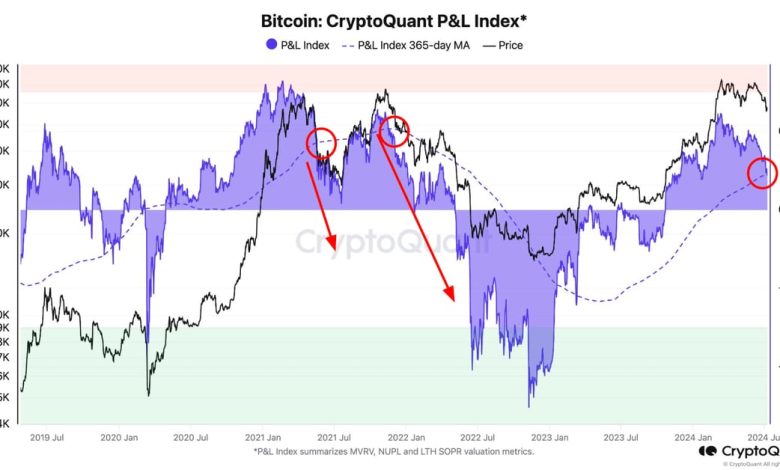 Bull-bear market cycle indicator (CryptoQuant