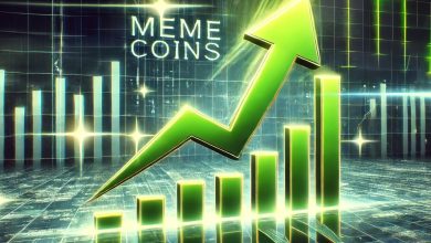 العملات المشفرة الفائزة هذا العام: عملات Meme Coins تتفوق في الأداء في عام 2024